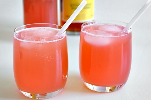 rabarbersaft4